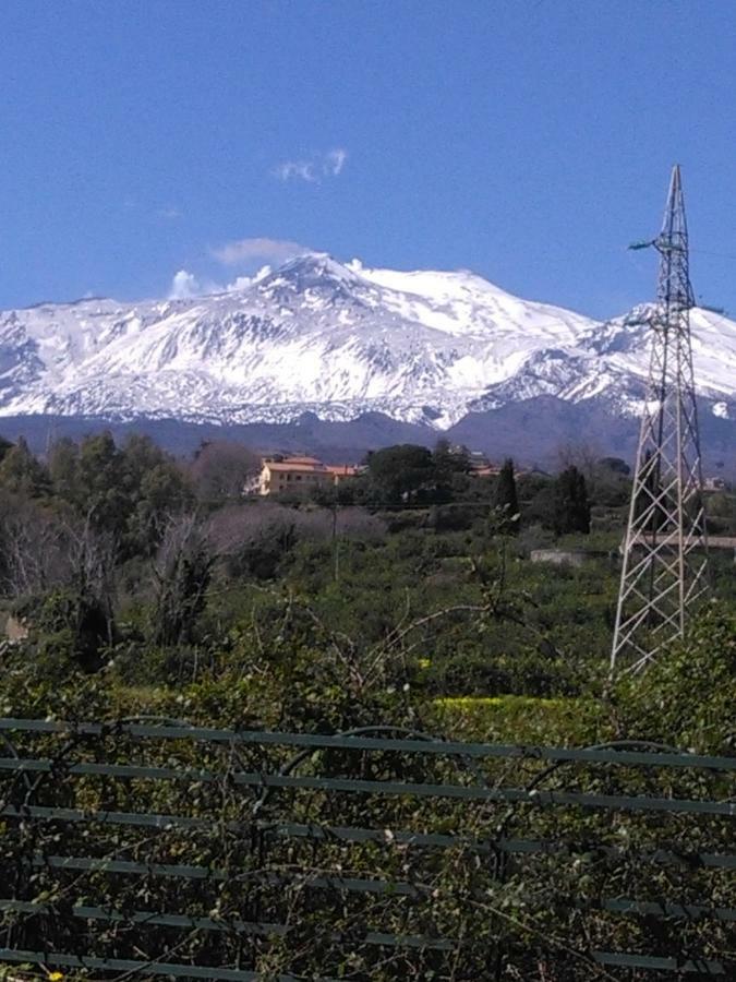 马斯卡利Ai Tre Archi Di Tagliaborse别墅 外观 照片